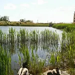 Odalys Primavera 2*